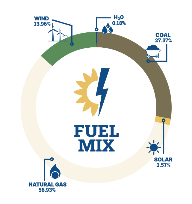 Sunflower Generation Mix